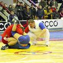 Девятый Межрегиональный турнир по самбо памяти Владимира Ревтова прошел в ДИВСе